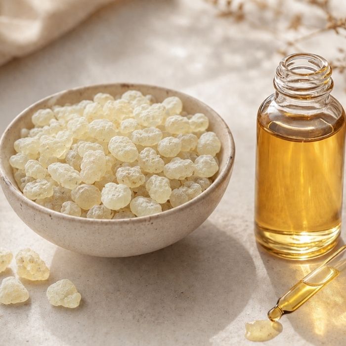 Mastiha oil